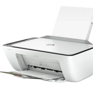 1.webp