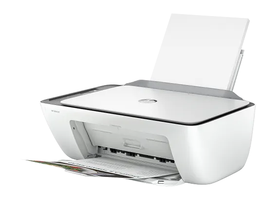 1.webp